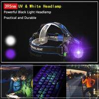 【lz】┇✣™  Farol Zoomable Portátil USB Recarregável 5W 395nm Farol UV 4-Mode UV   White Head Torch para Camping e Caça 2023 Novo