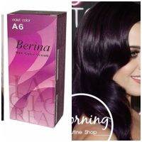 Berina Hair Color ครีมเปลี่ยนสีผม เบอรีน่า เปล่งประกาย ติดทนนาน ปิดผมขาว แล้วยังช่วยปกป้องการทำร้ายเส้นผม สี A6