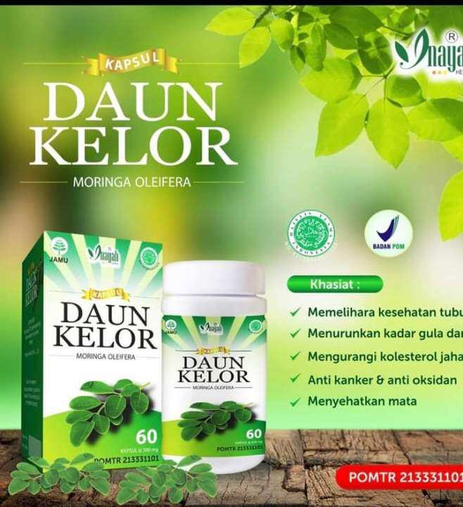 Kapsul Daun Kelor Inayah 60kpl Lazada Indonesia