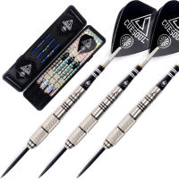 ‎CUESOUL CUESOUL 90% Professional Darts Steel Tip 22/24/26 Grams-Precise Dart Barrels with Black Dart Case/Luxury Dart Case 24g With back case