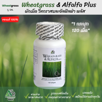 Wheatgrass &amp; Alfalfa Plus ? ผลิตภัณฑ์อาหารเสริม ผักอัดเม็ดแอมสตรอง เม็ดสีดำ ช่วยในการบำรุงสายตา เสริมวิตามินให้ร่างกาย