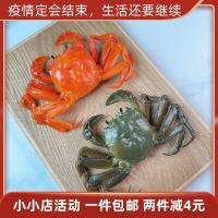 Simulation model of hairy crabs fake male mother cooked crab fresh tree restaurant display playing host to biological teaching props