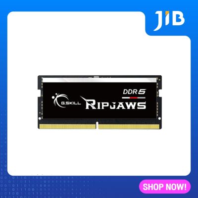 16GB (16GBx1) DDR5 4800MHz RAM NOTEBOOK (หน่วยความจำโน้ตบุ๊ค) G.SKILL RIPJAWS (F5-4800S3838A16GX1-RS)