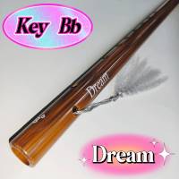 ขลุ่ยเสียงสากล คีย์ Bb รุ่น Dream  สีน้ำตาลลายไม้