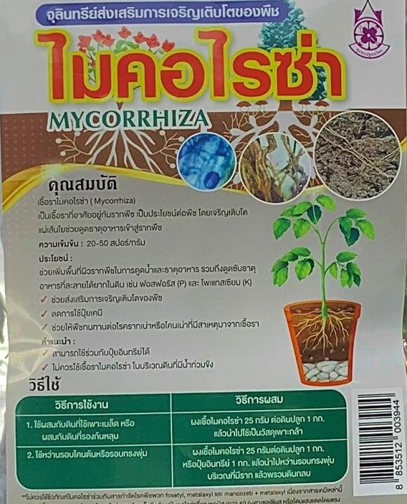 ไมคอร์ไรซ่า-mycorrhiza-เชื้อราไมคอร์ไรซ่า-จุลินทรีย์เชื้อราชีวภาพกระตุ้นพืชโตเร็ว-1-kg-ปฐมอโศก