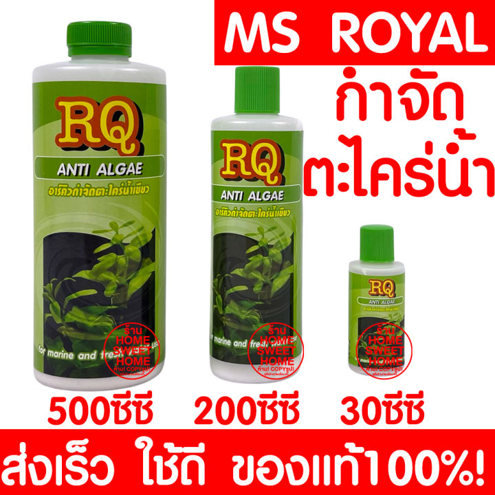 ค่าส่งถูก-rq-anti-algae-น้ำยากำจัดตะไคร่ตู้ปลาและบ่อปลา-แก้ปัญหาน้ำเขียว-น้ำยากำจัดตะไคร่บ่อปลา