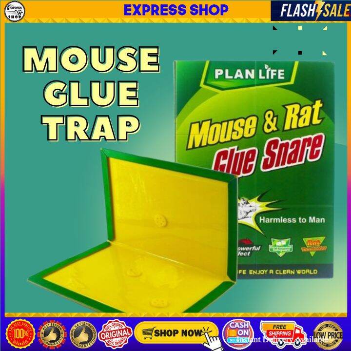 EXPRESS SHOP ORIGINAL MOUSE AND RATS GLUE TRAPS STICKY MOUSE BOARD GLUE ...