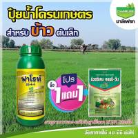 ฟาโรห์ 20-4-4 1 ลิตร ตราชาลีเฟรท สูตรเร่งการเจริญเติบโต ขยายต้น แบ่งเซลล์ ขยายกอ แตกใบ สร้างราก แตกกิ่งก้าน แตกใบใหม่ สร้างลำต้นให้แข็งแรง