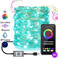 USB LED String Lights Fairy Light with APP Remote Control Garlands Outdoor for Christmas Wedding Garden Party Holiday Decoration Power Points  Switche