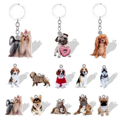 Cute Dogs Resin Pendant Keychain 2D Photo in Acrylic Sheet Animal Dog Lovers Gifts Jewelry Accessories QDW68 Key Chains