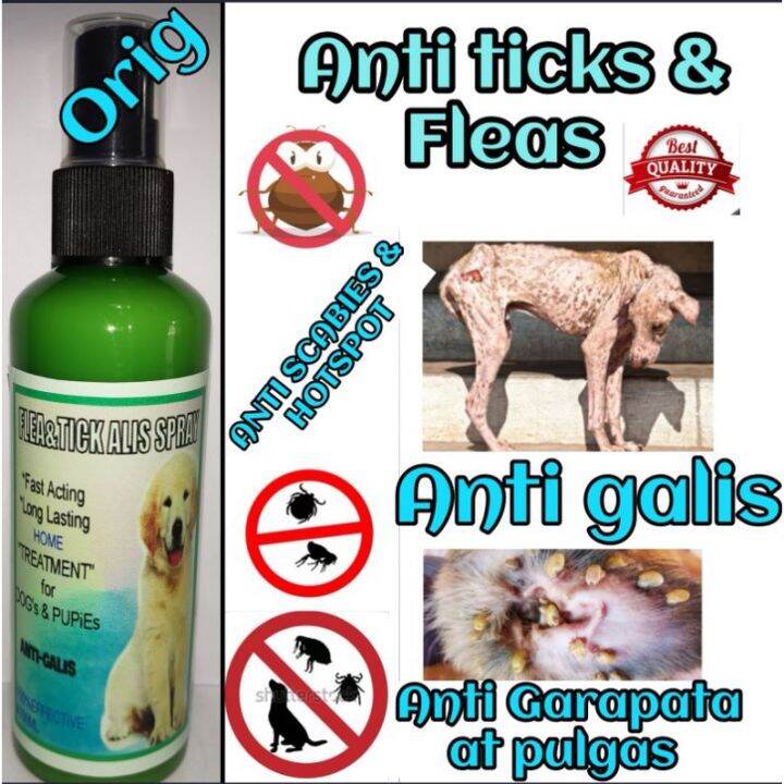 Gamot sa Garapata, Pulgas at Galis ng Aso Spray 100mlcl2 | Lazada PH