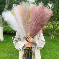 5pcs Artificial Pampas Grass Dried Reed Flowers Bouquet Wedding Festival Party Decoration Home Room Fake Plant Rabbit Tail Grass