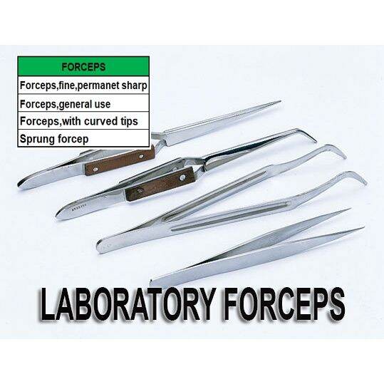 LABORATORY FORCEPS GENERAL Lazada PH
