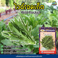 เมล็ดผักสลัด ไวด์รอคเก็ต Wild Rocket  ตราภูเขาทอง ปริมาณ0.5กรัม เมล็ดไวด์รอคเก็ต เมล็ดพันธุ์ไวด์รอคเก็ต เมล็ดพันธุ์ผัก เมล็ดพันธุ์ผักสลัด