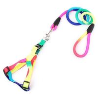 【LZ】 3 Size Small Dog Harness Leash Rainbow Dog Leash Rope Chihuahua/Teddy/Pitbull Pet Harness For Dogs/Cats