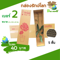 ลดราคา กล่องต้นไม้ เบอร์ 2 กล่องไปรษณีย์ มีพิมพ์จ่าหน้า ลูกฟูกหนา 5 ชั้น ( 1 แพ๊ค 5 ใบ )