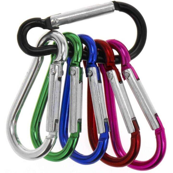 H&H Aluminum Carabiner Clips for Key | Lazada PH