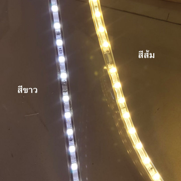 ไฟ-led-หุ้มยางแบบแบน-สีวอม-led-มีให้เลือก-2สี-เลือกความยาวได้-บรรจุพร้อมปลั๊ก-พร้อมใช้งาน-สำหรับตกแต่งบ้าน-เฟอร์นิเจอร์