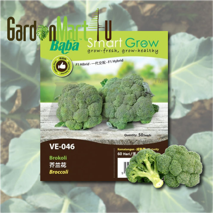 Baba Smart Grow Ve 046 Broccoli Brokoli 50 Seeds Vege Seed Biji Benih