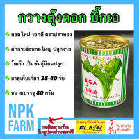 กวางตุ้งดอก บิ๊กเอ Big A ขนาด 80 กรัม ผักกระจ้อน เมล็ดพันธุ์ ลอตใหม่ งอกดี ปลูกง่าย กอใหญ่ ปลูกได้ทั้งปี ทนทานโรค ระยะเก็บเกี่ยว 35 วัน