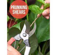 TangthaiSP กรรไกรตัดกิ่ง กรรไกรตัดแต่งกิ่งไม้ ปากโค้ง กรรไกรตอนกิ่ง ทำสวน Pruning shears หัวกรรไกรช่วยให้เข้าถึงได้แม้ซอกมุมเล็กๆ