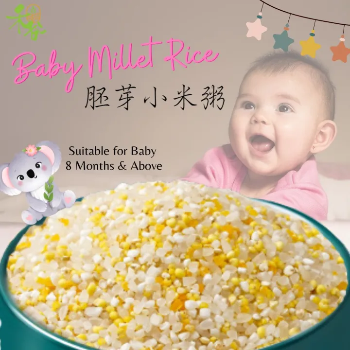 宝宝辅食 胚芽小米粥 500g Baby Food Baby Rice Baby Millet Rice Baby Porridge