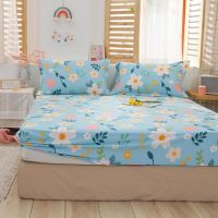 纯棉cotton Single SizeQueen King 枕套（pillowslip）fitted sheet Premium High Quality Fitted Bedsheet (Cadar Murah Hebat) Cadar Bergetah Keliling