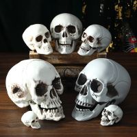 MA1MBB All Size Halloween Skull Head Skeleton Decor Toy Coffee Bars Home Movie Ornament Party Haunted House Festival Toys Decors