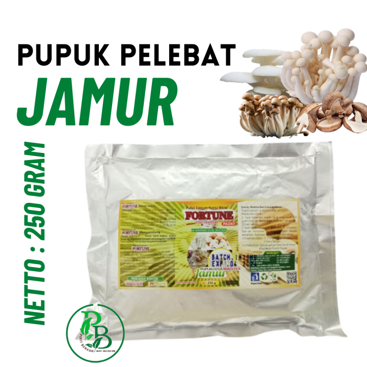 Pupuk perangsang pertumbuhan jamur tiram, nutrisi organik jamur janggel