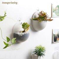 Multifunctional Wall Hanging Vase Hole Free Hydroponic Flowerpot