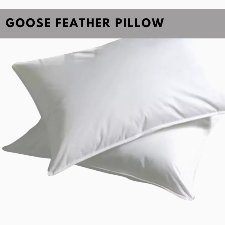 goose feather pillow 18x28 Lazada PH