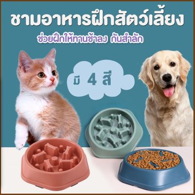BHQ PET ชามอาหารสัตว์เลี้ยง ชามช่วยลดการสำลัก ชามลดการกินไว ชามอาหารฝึกให้ทานช้าลง ชามกันมูมมาม สุนัขและแมว