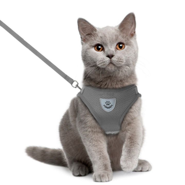 cat-dog-harness-เสื้อกั๊กปรับได้เดินสายจูงสำหรับลูกสุนัขสุนัขปลอกคอตาข่ายสำหรับสุนัขขนาดกลางขนาดเล็ก-cat-accessories
