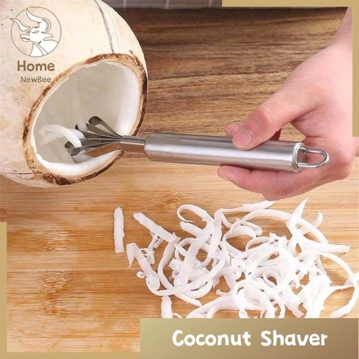 Coconut Shaver Stainless Steel Kitchen Fruit Tool Fish Skin Scale