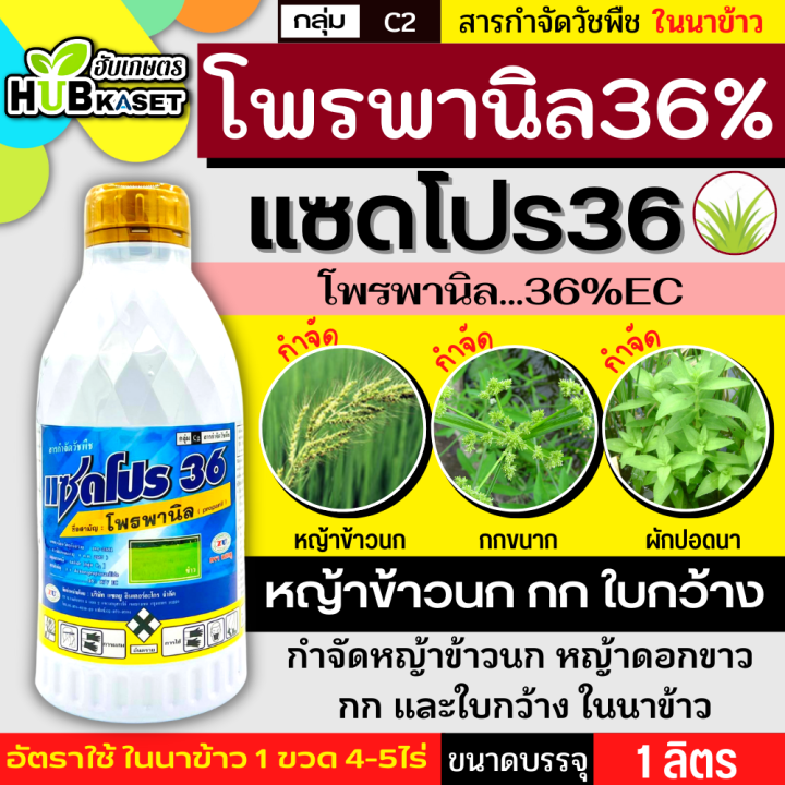 แซดโปร36-1ลิตร-โพรพานิล-คุมวัชพืชในนาหว่านน้ำตม-ทั้งใบแคบ-ใบกว้างและกก