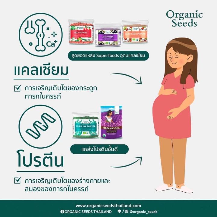 organic-seeds-organic-chia-seed-เมล็ดเชีย-ออแกร์นิค-200gm