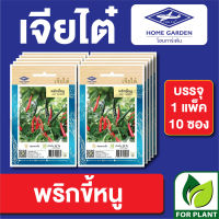 ผักซอง เจียไต๋ CT15 เมล็ดพันธุ์ พันธุ์ผัก พริกขี้หนู บรรจุแพ็คล่ะ 10 ซอง ราคา 70 บาท