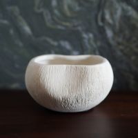 C&amp;C HOME Sand Stone White Coral Bowl (Small) ชามกลมเรซิ่นลายปะการัง ถ้วยเรซิ่น ถ้วยเรซิ่น เรซิ่นโคเริล ถ้วยโคเริล ปะการัง ถ้วยลายปะการัง