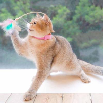 Funny Pet Cat Toy Interesting Bell Teaser Cat Toys Collars Toys Stick Stick Toy Funny Kitten Feather Interactive Cats B8T4