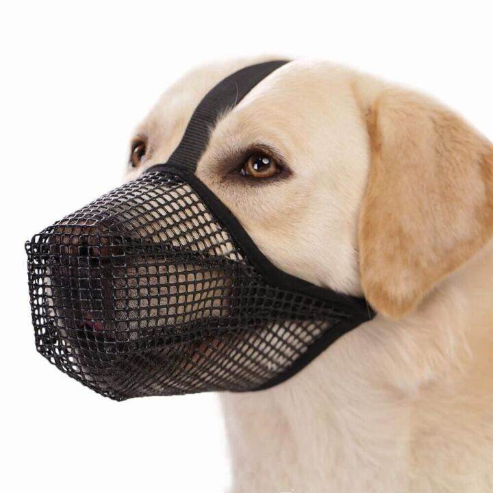 chewing-for-licking-breathable-pet-muzzle-dog