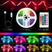 【cw】 RGB 5050 5V Led Strip Lights  5 to15 Meters Colorful Tape USB Connector With Remote Battery TV Desktop Screen BackLight