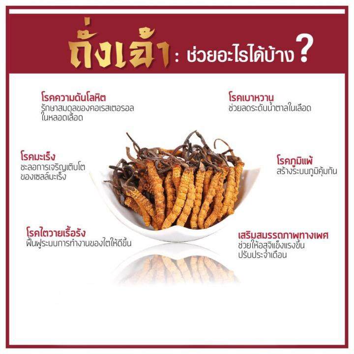 hi-balanz-cordyceps-extract-ไฮบาลานซ์-ถั่งเช่า-ถังเช่า-ถั่งเฉ้า-x-3-กล่อง