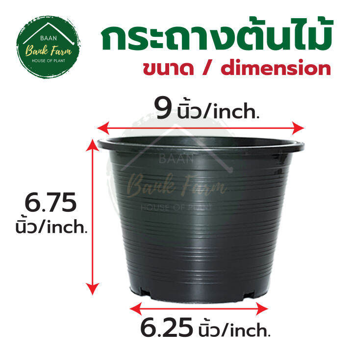 กระถาง9นิ้ว-สีดำ-1-50ใบ-กระถางราคาถูก-กระถางพลาสติก-กระถางต้นไม้-l-บ้านแบงค์ฟาร์ม