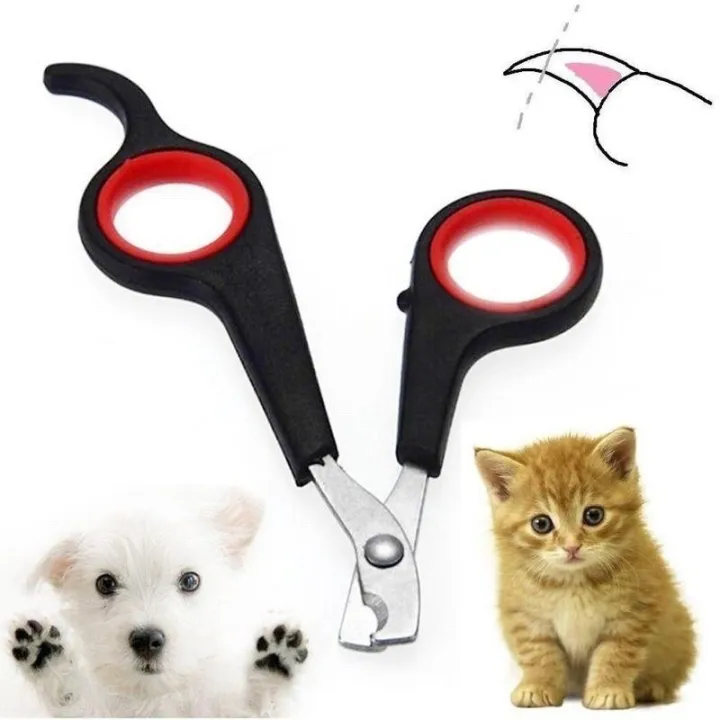 Pet Nail cutter Small | Lazada PH