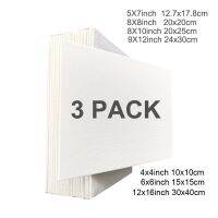 Artists Drawing Board 3 Pack Panel Canvas Painting For Acrylic Oil Paint Acid Free White Cotton Multi Sizes for learning  boards Pipe Fittings Accesso