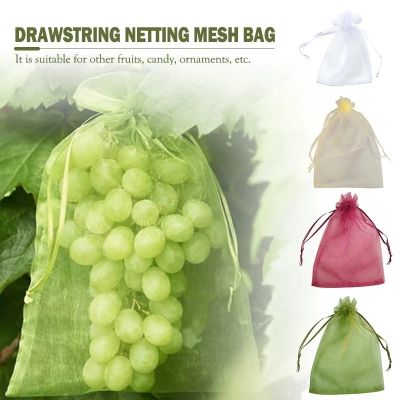 ✒ 20/50/100PC Vegetable and Fruit Protection Bag Pest Control Bird-proof Mesh Bag Strawberry Grape Orchard Bagging Mesh Cover
