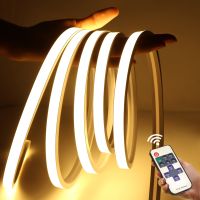 DC 24V Neon Light LED Strip with RF Remote Control Touch Switch 320LED/M Flexible Rope Tube Lamp For Home Christmas Decor