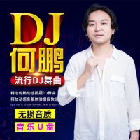 เหอเผิง DJ เพลงเต้นรำ U เพลงป๊อป DJ เพลงเบสร้อน DJ เลือกเพลงแดนซ์สุดช็อก DJ ที่มีคุณภาพสูง U จาน