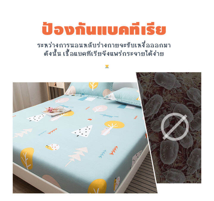 โปรพิเศษ-ผ้าปูที่นอน-6ฟุต-5ฟุต-3-5ฟุต-เตียงสูงสุด12-ผ้าปูที่นอนcotton-ปลอกหมอน-หมอนข้าง-ผ้าปูที่นอน-ราคาถูก-ปลอกหมอน-ปลอกหมอนหนุน-ปลอกหมอนข้าง-ปลอกหมมอนยางพารา-ที่นอน-หมอน-เตียง-ผ้าปูที่นอน-ผ้านวม