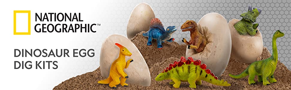 Dinosaur Dig Kit National Geographic 12 Egg Shaped Bricks Party Activity Tools 